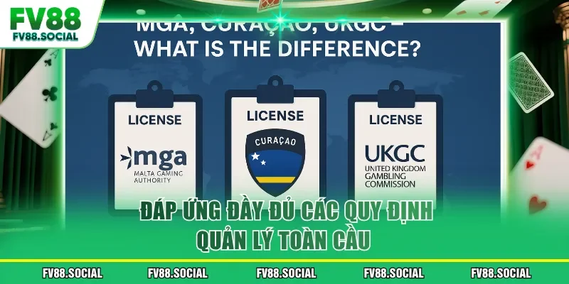 Đáp ứng đầy đủ các quy định quản lý toàn cầu